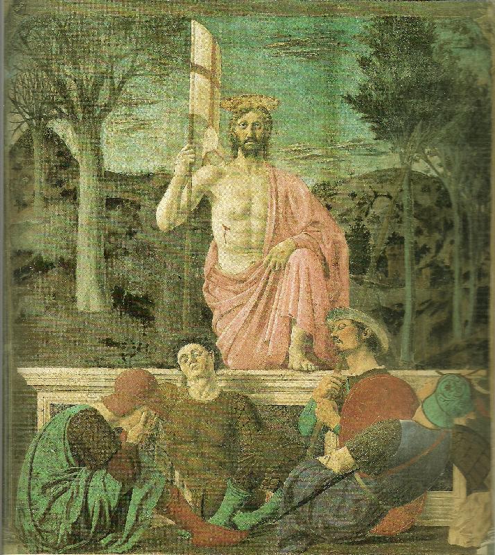sansepolcro, museo civico, Piero della Francesca